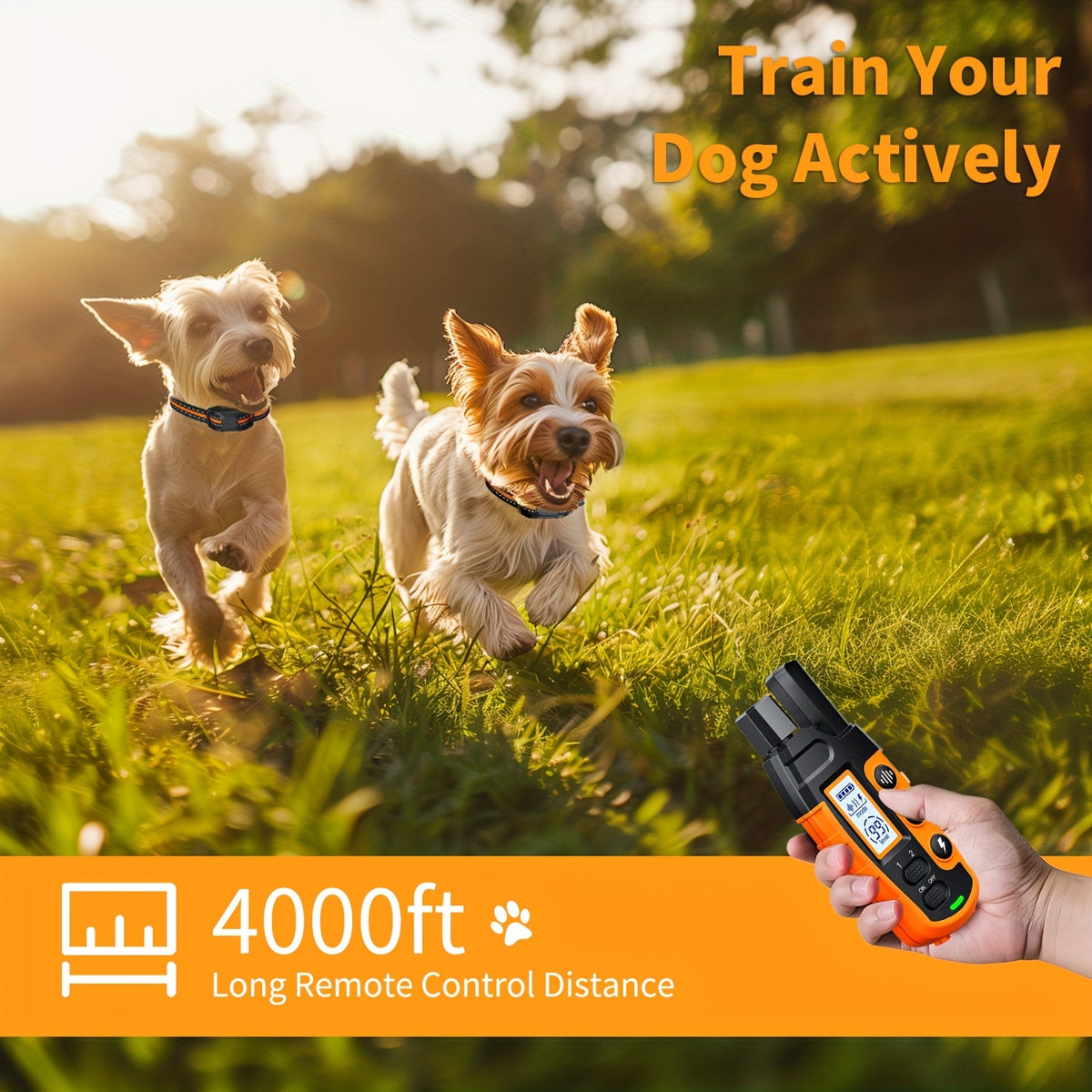 dog training collar remote pet supplies temu