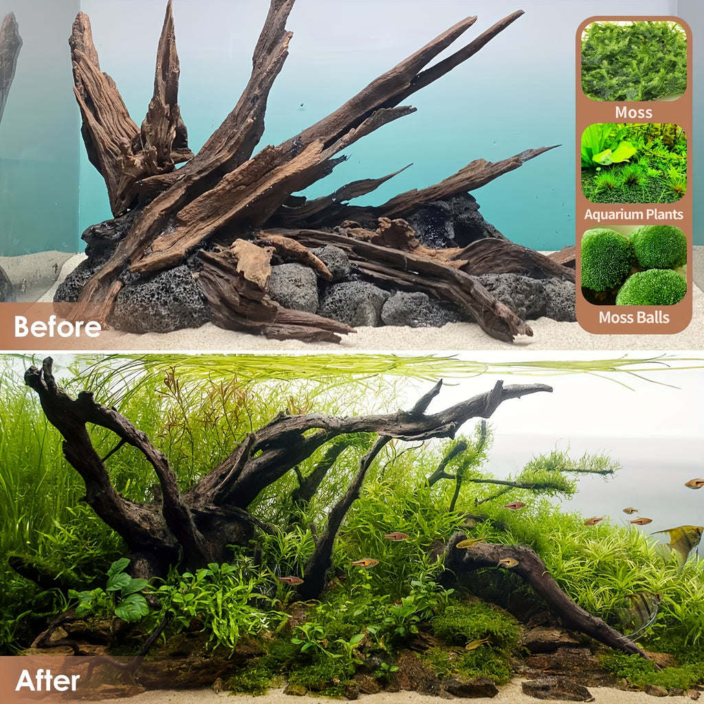 2pcs natural driftwood aquarium decor reptile wood branches