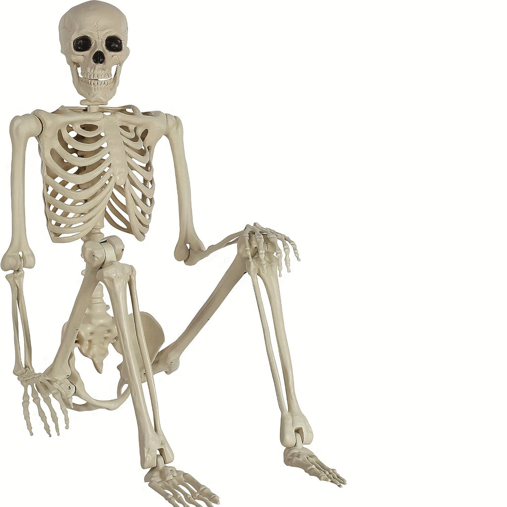 5 4ft posable   human   skeletons plastic human
